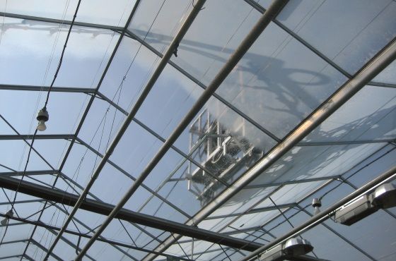 如何安全清洁玻璃温室屋顶？
